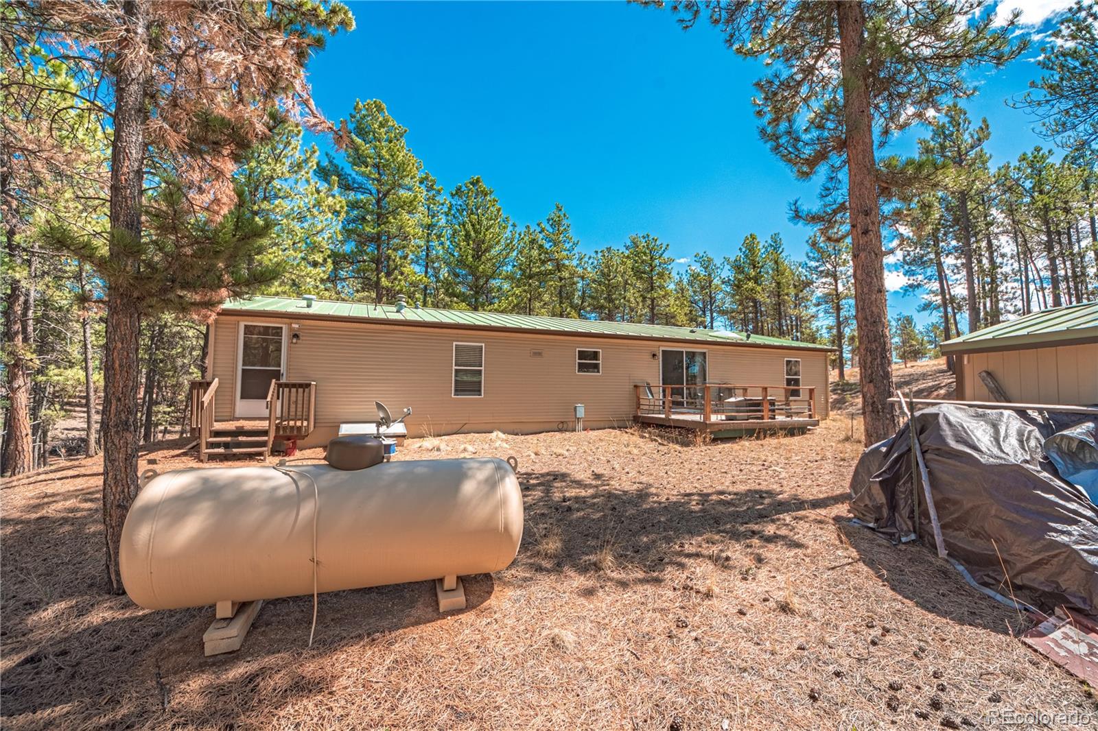 2675 Pikes Peak Drive Florissant CO 80816