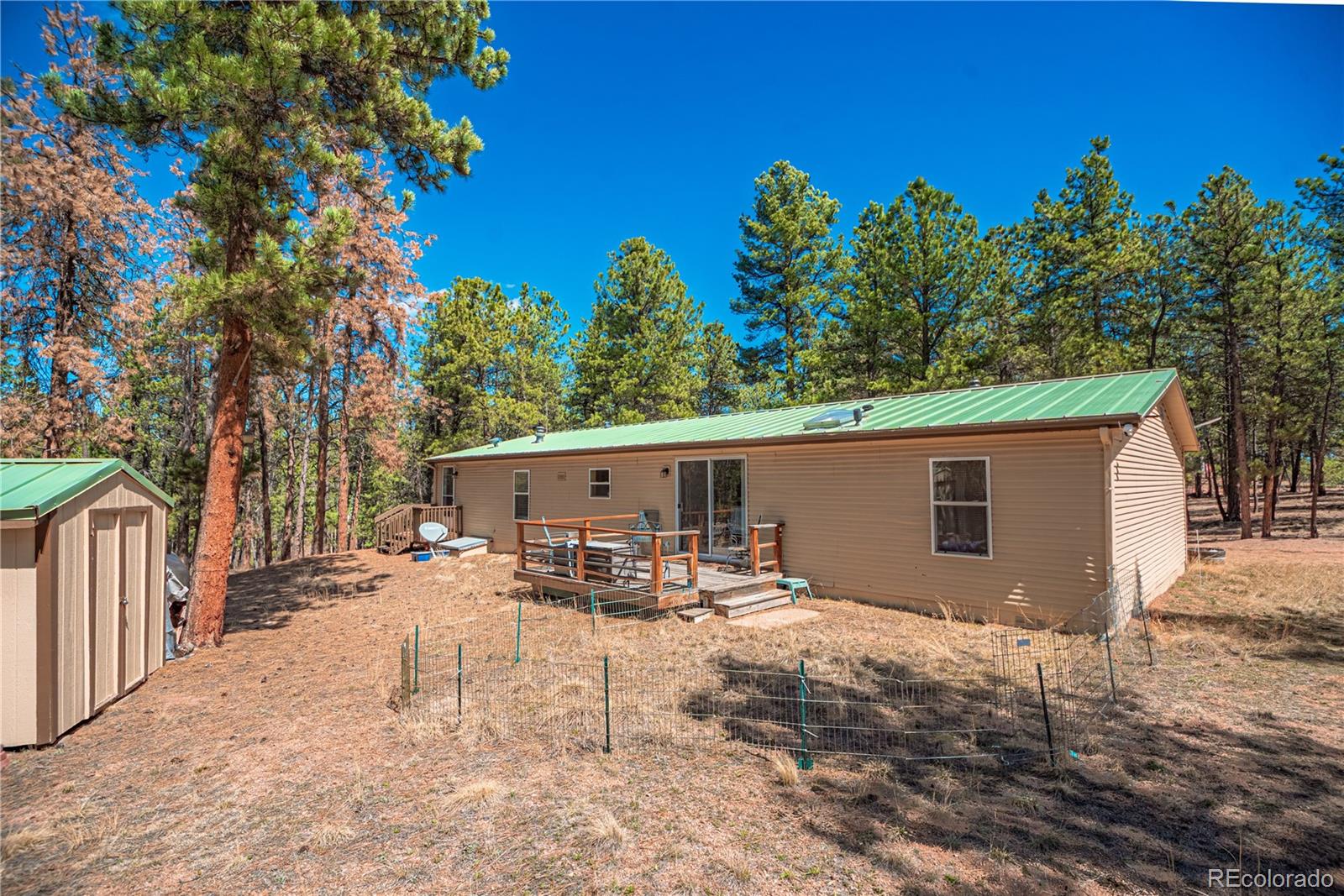 2675 Pikes Peak Drive Florissant CO 80816
