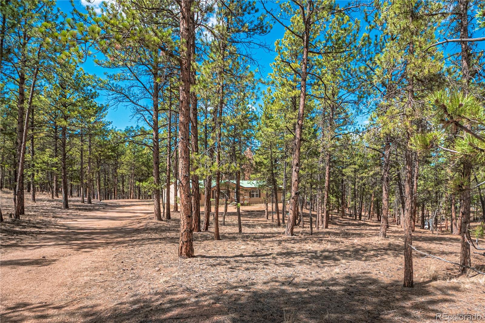 2675 Pikes Peak Drive Florissant CO 80816