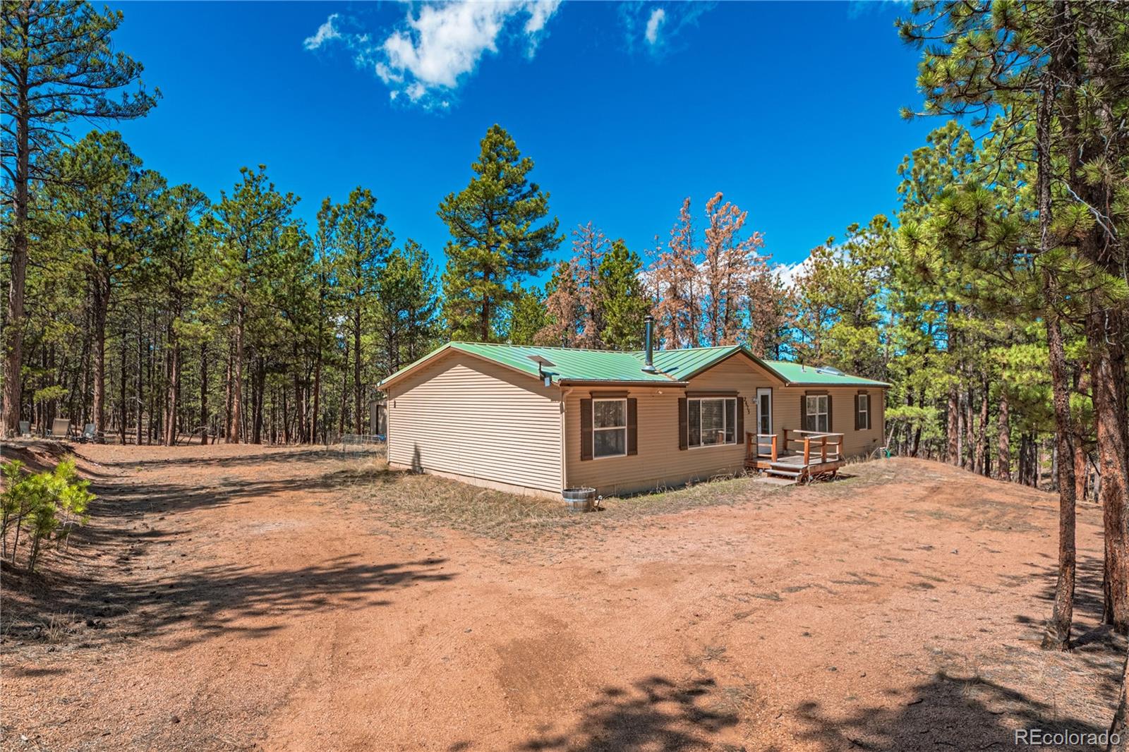 2675 Pikes Peak Drive Florissant CO 80816