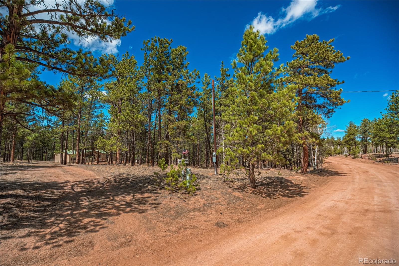 2675 Pikes Peak Drive Florissant CO 80816