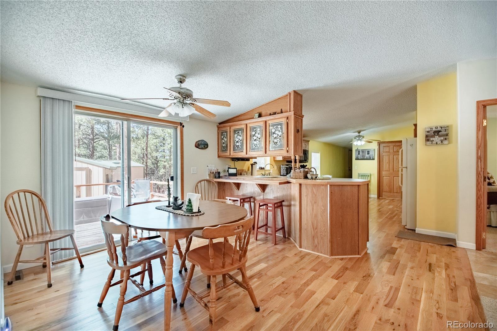 2675 Pikes Peak Drive Florissant CO 80816