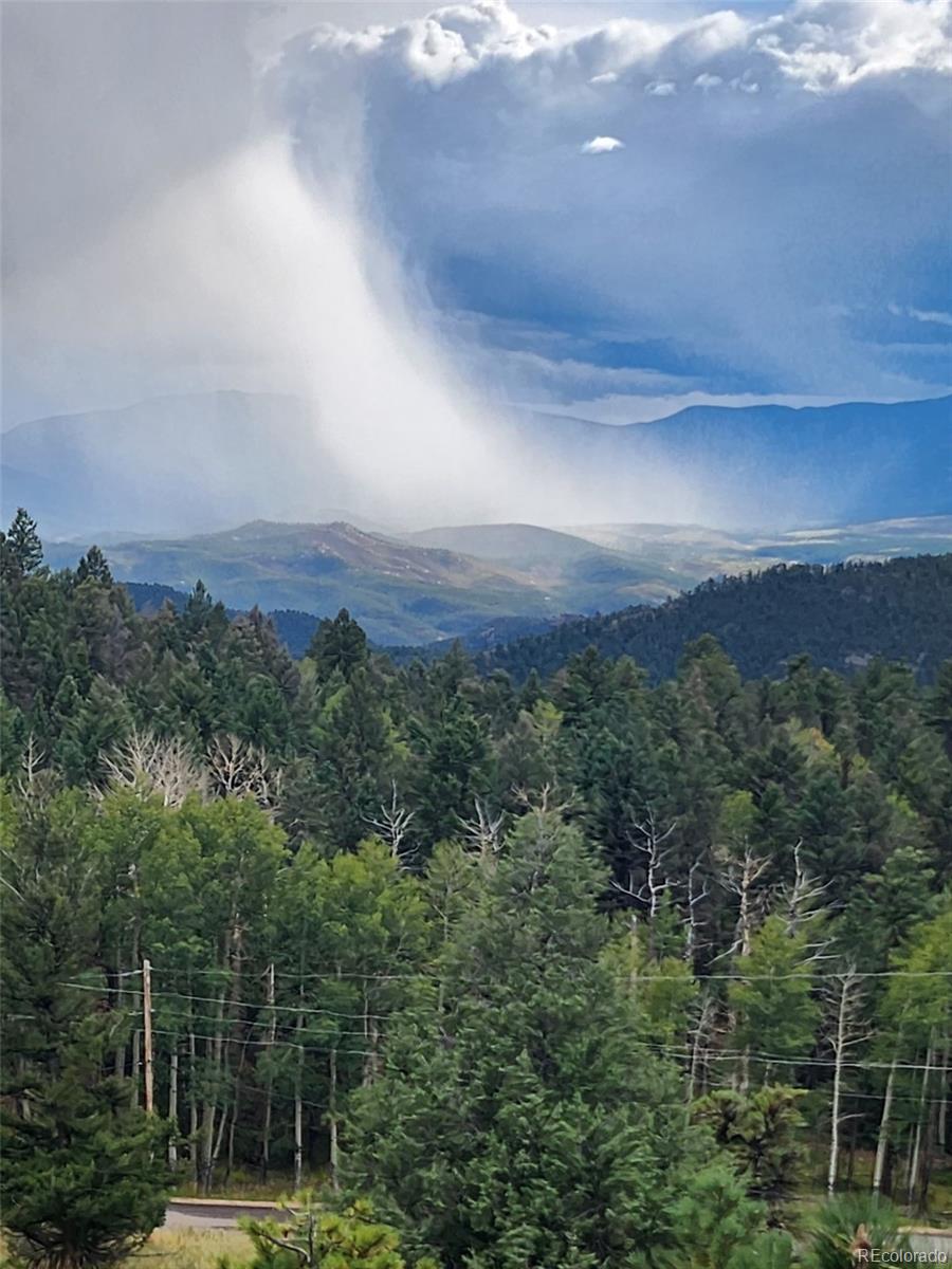 13108 Elsie Road Conifer CO 80433