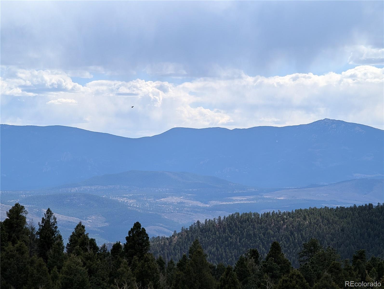 13108 Elsie Road Conifer CO 80433