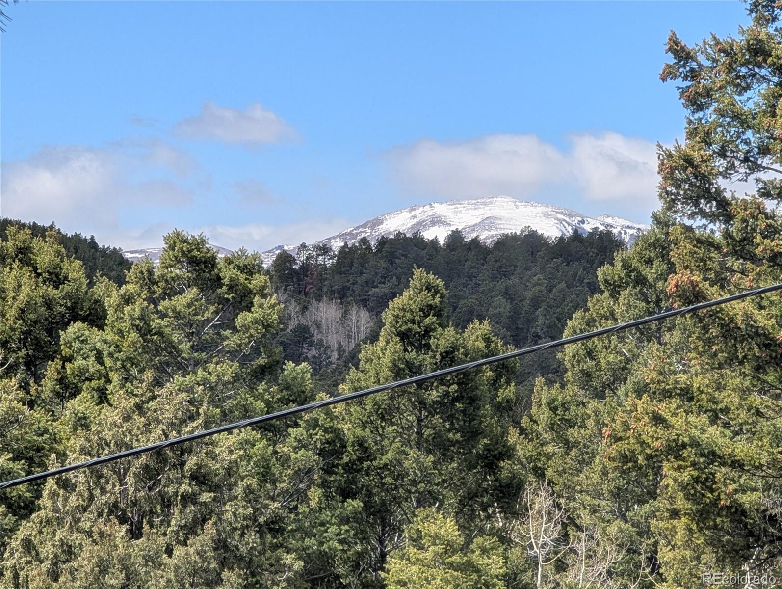 13108 Elsie Road Conifer CO 80433
