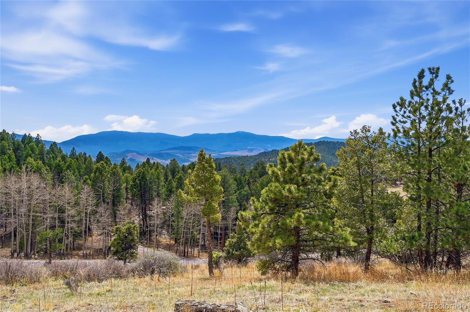 13108 Elsie Road Conifer CO 80433