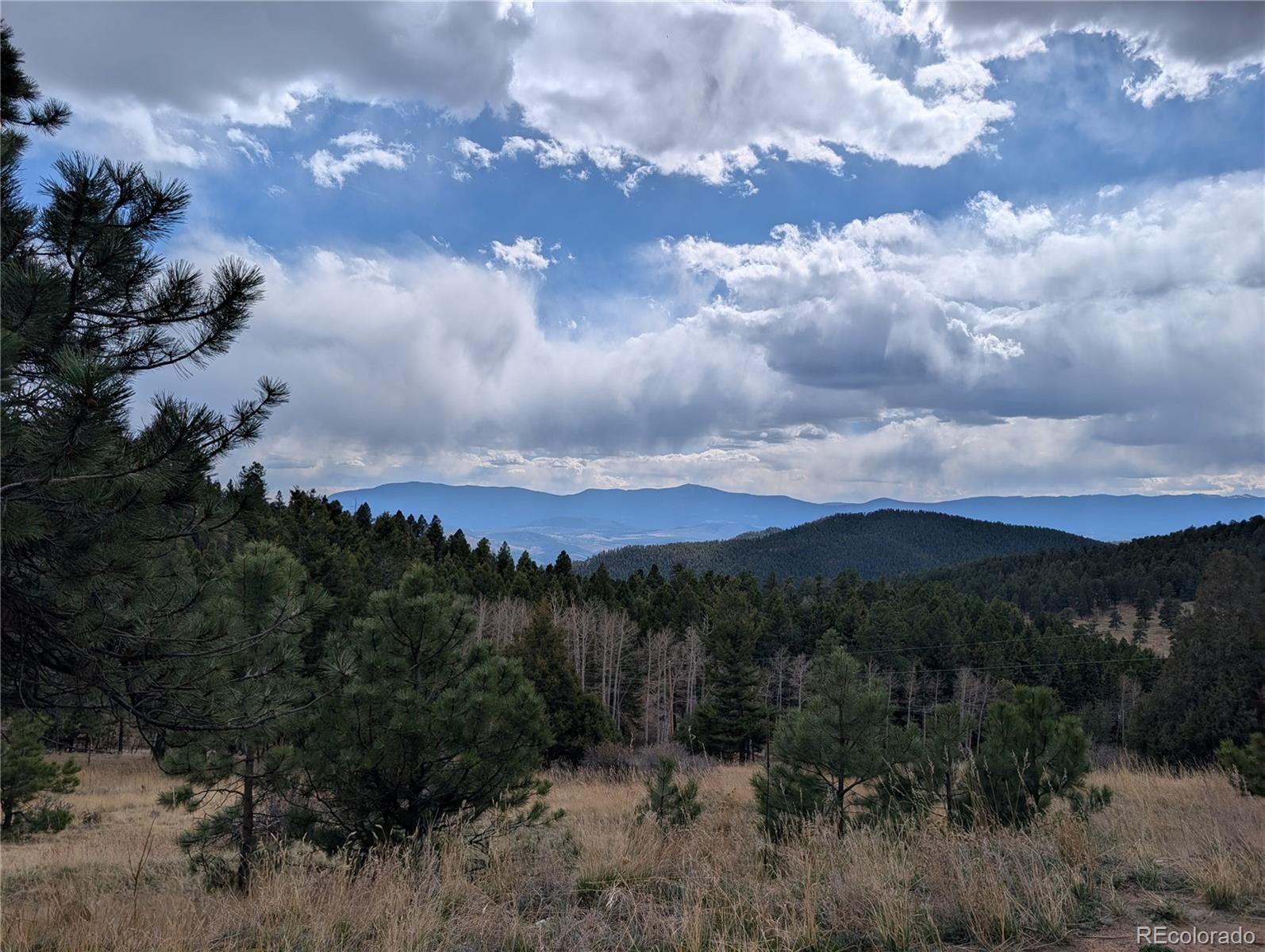 13108 Elsie Road Conifer CO 80433