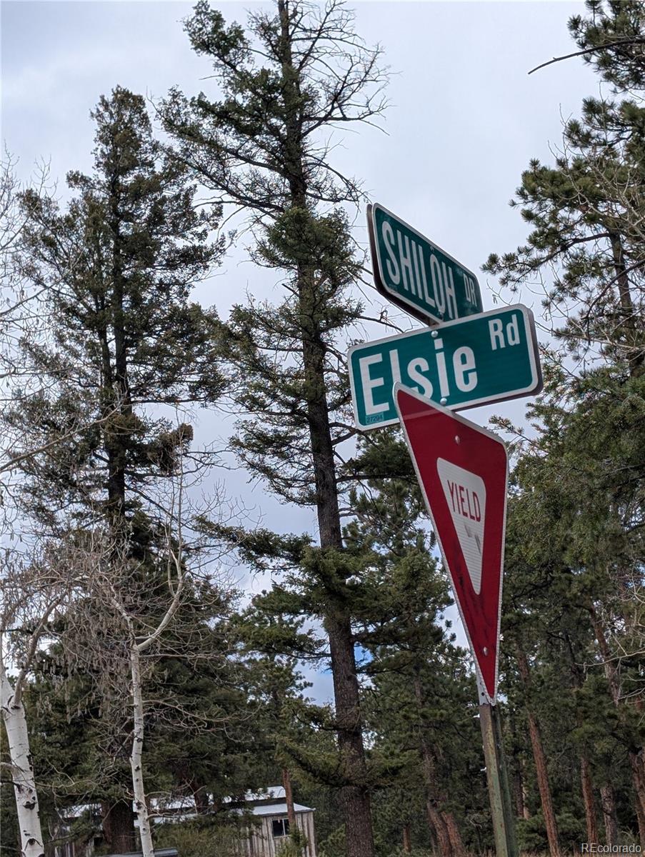 13108 Elsie Road Conifer CO 80433