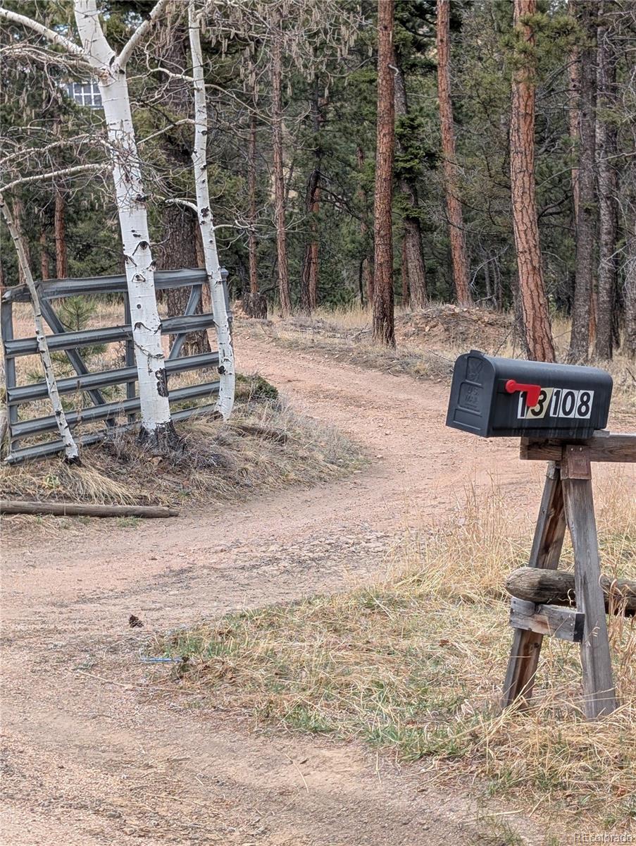 13108 Elsie Road Conifer CO 80433