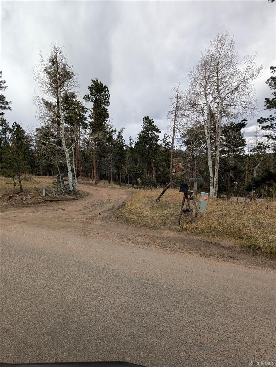 13108 Elsie Road Conifer CO 80433