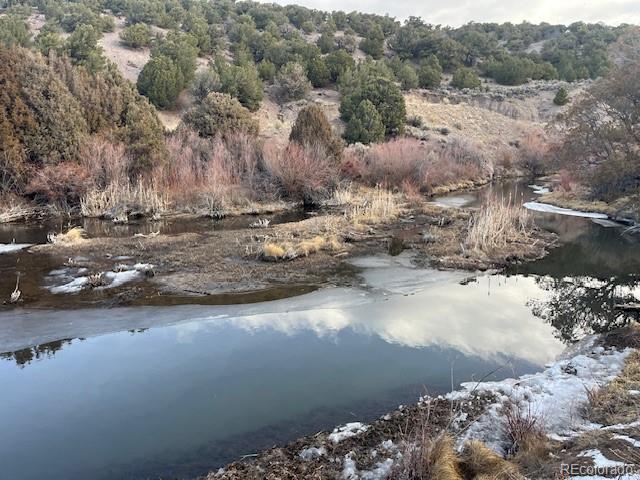 7541 Indian Creek Road Fort Garland CO 81133