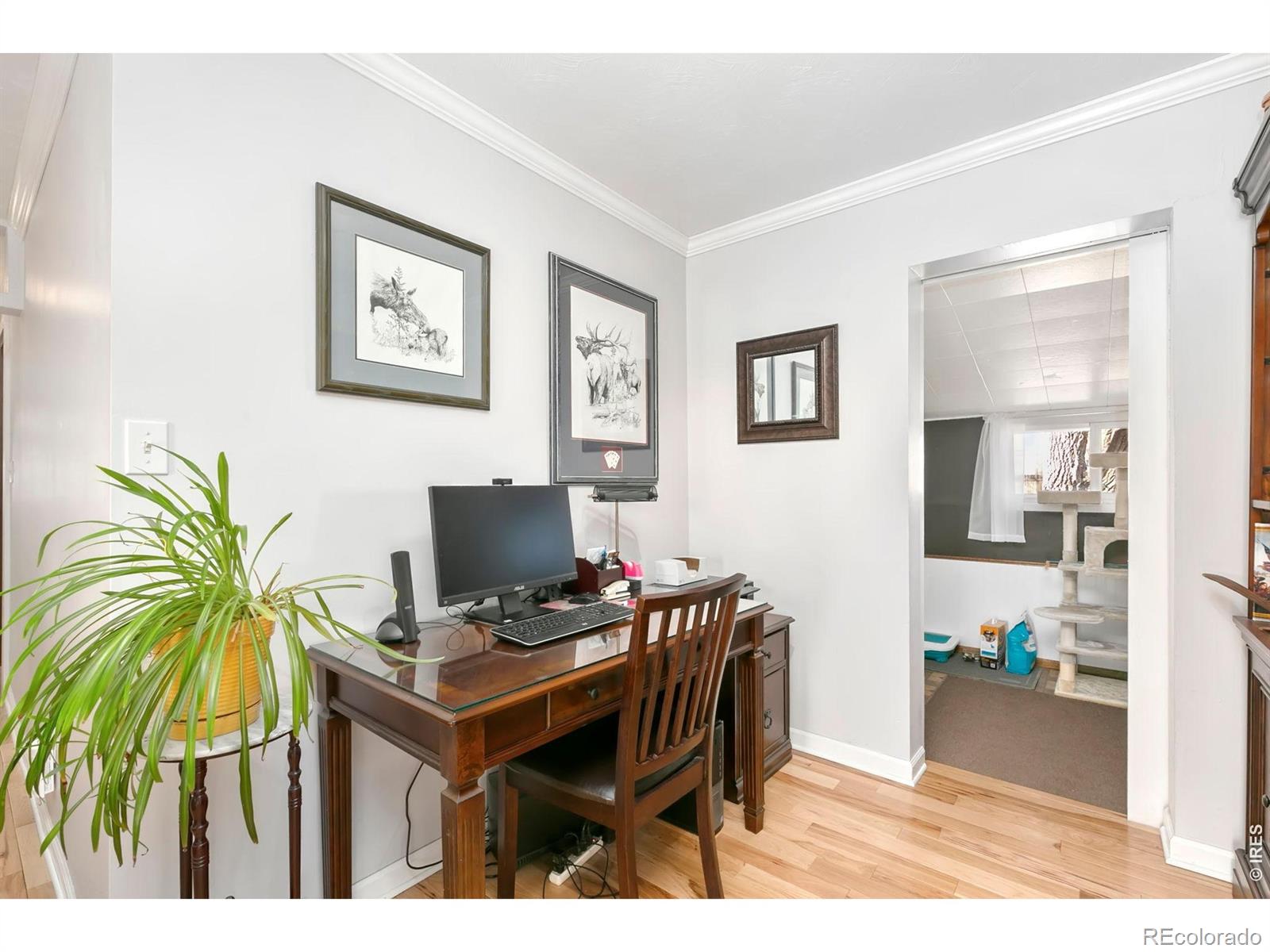 103 W Main Avenue Pierce CO 80650