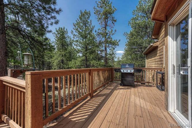 14694 Crooked Trail Road Woodland Park CO 80863