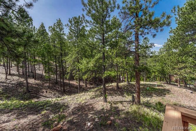 14694 Crooked Trail Road Woodland Park CO 80863
