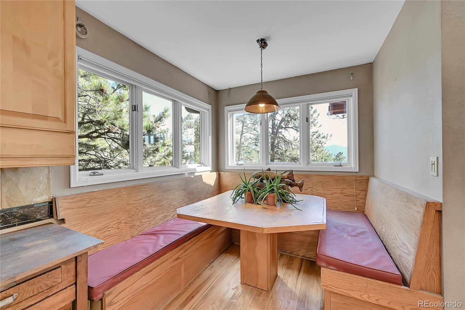 29990 Troutdale Scenic Drive Evergreen CO 80439