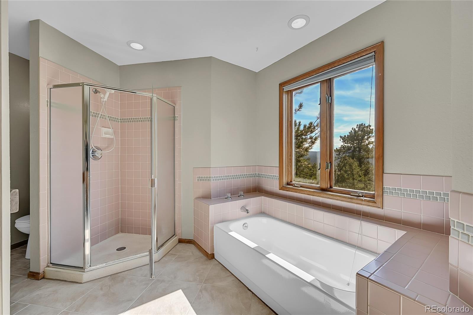 29990 Troutdale Scenic Drive Evergreen CO 80439