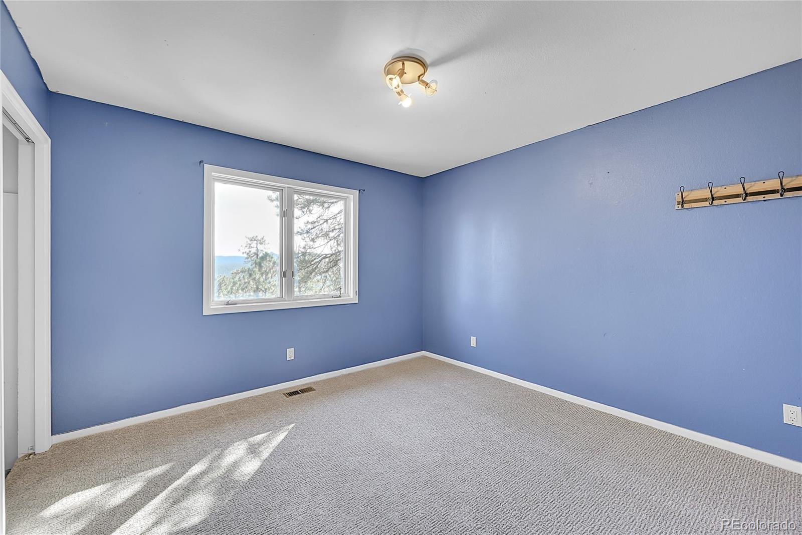29990 Troutdale Scenic Drive Evergreen CO 80439