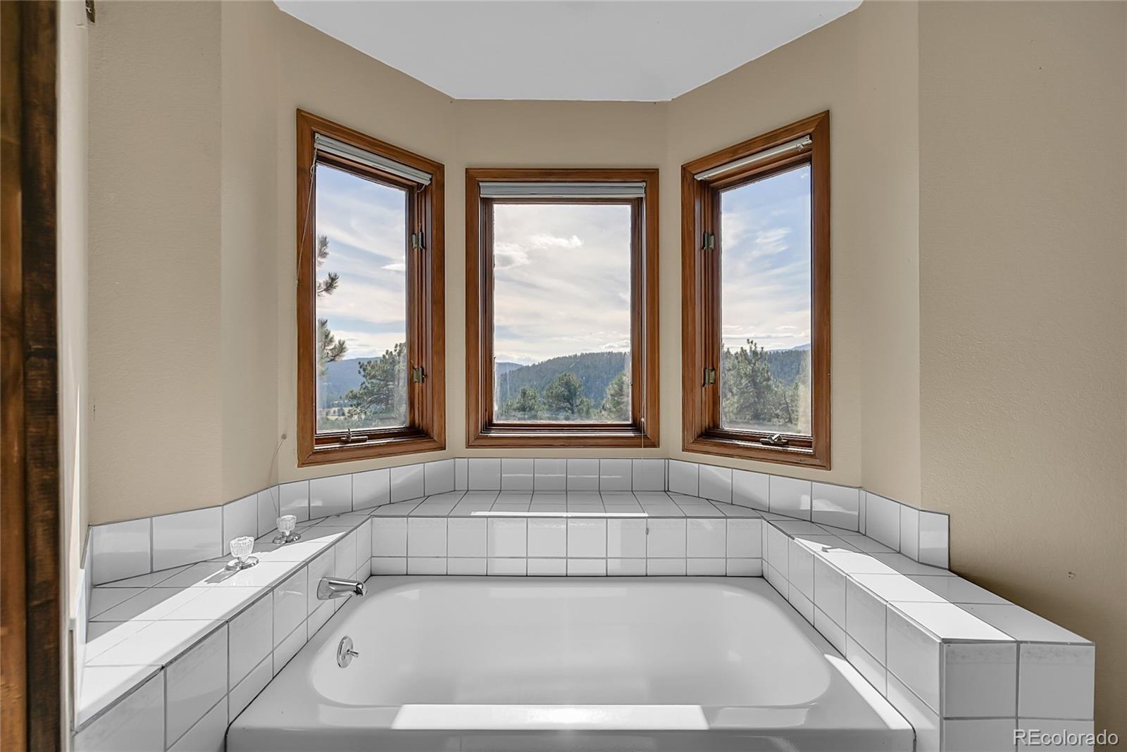 29990 Troutdale Scenic Drive Evergreen CO 80439