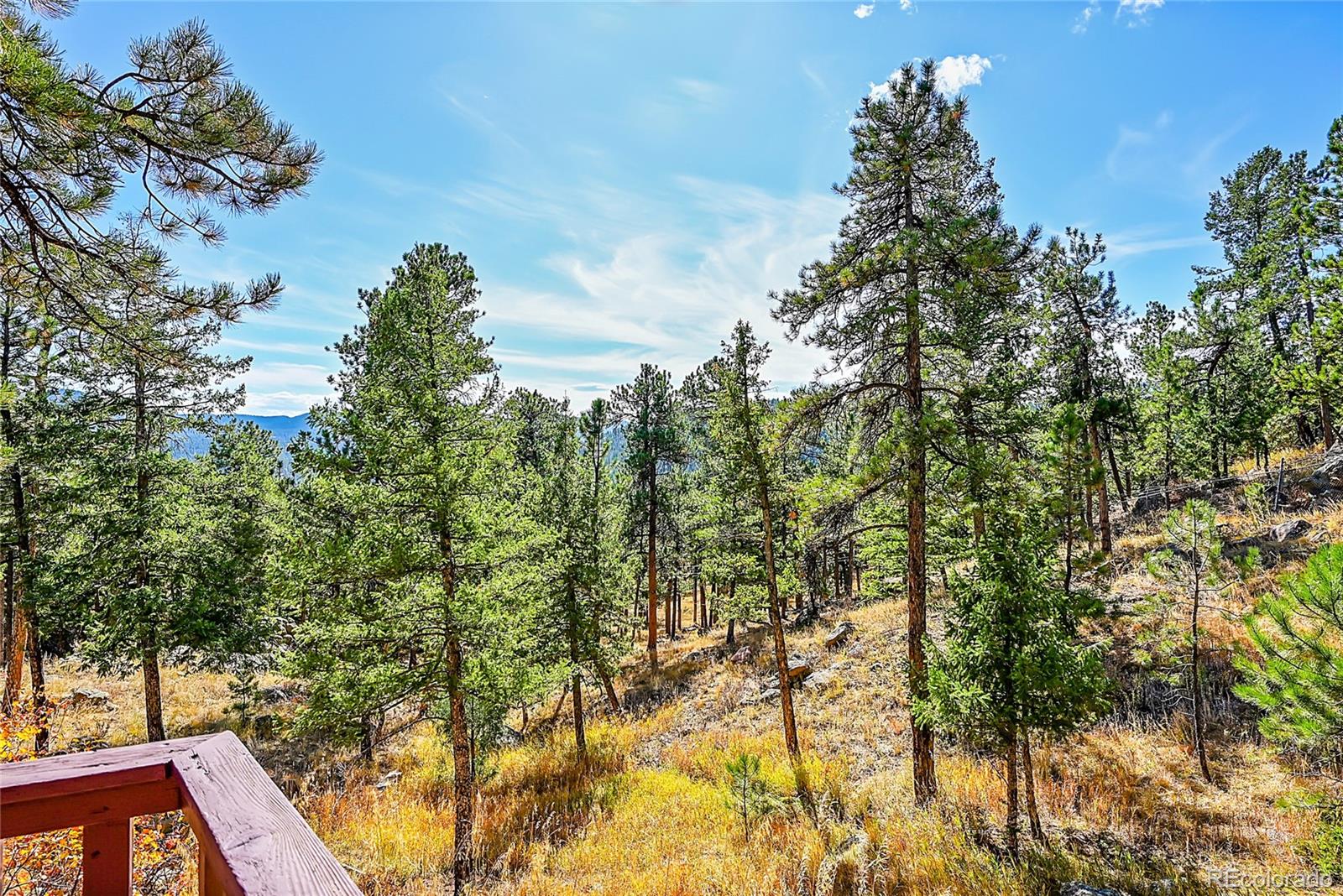 29990 Troutdale Scenic Drive Evergreen CO 80439