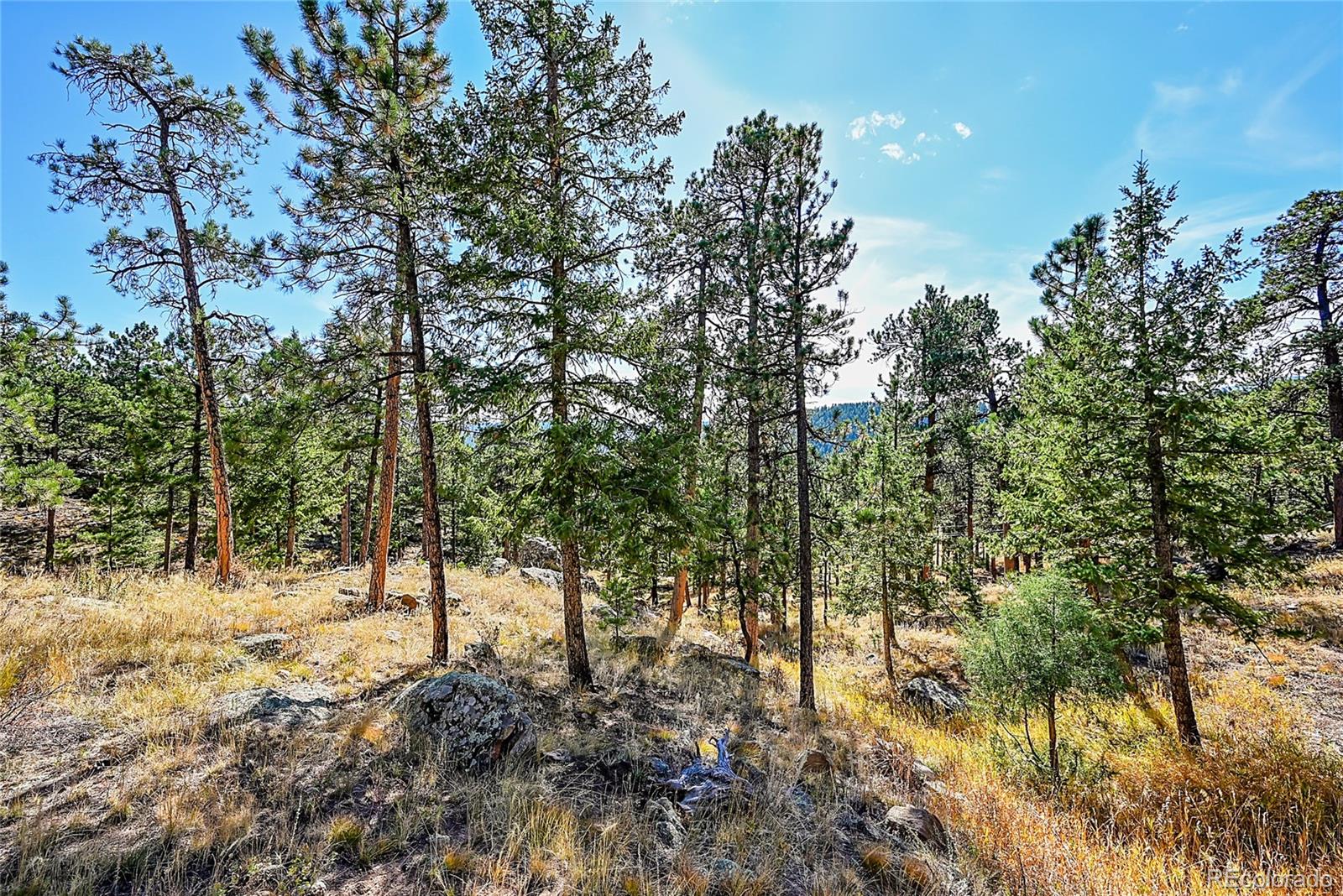 29990 Troutdale Scenic Drive Evergreen CO 80439