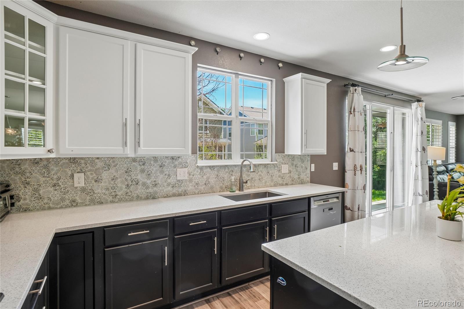 905 Lasnik Street Erie CO 80516