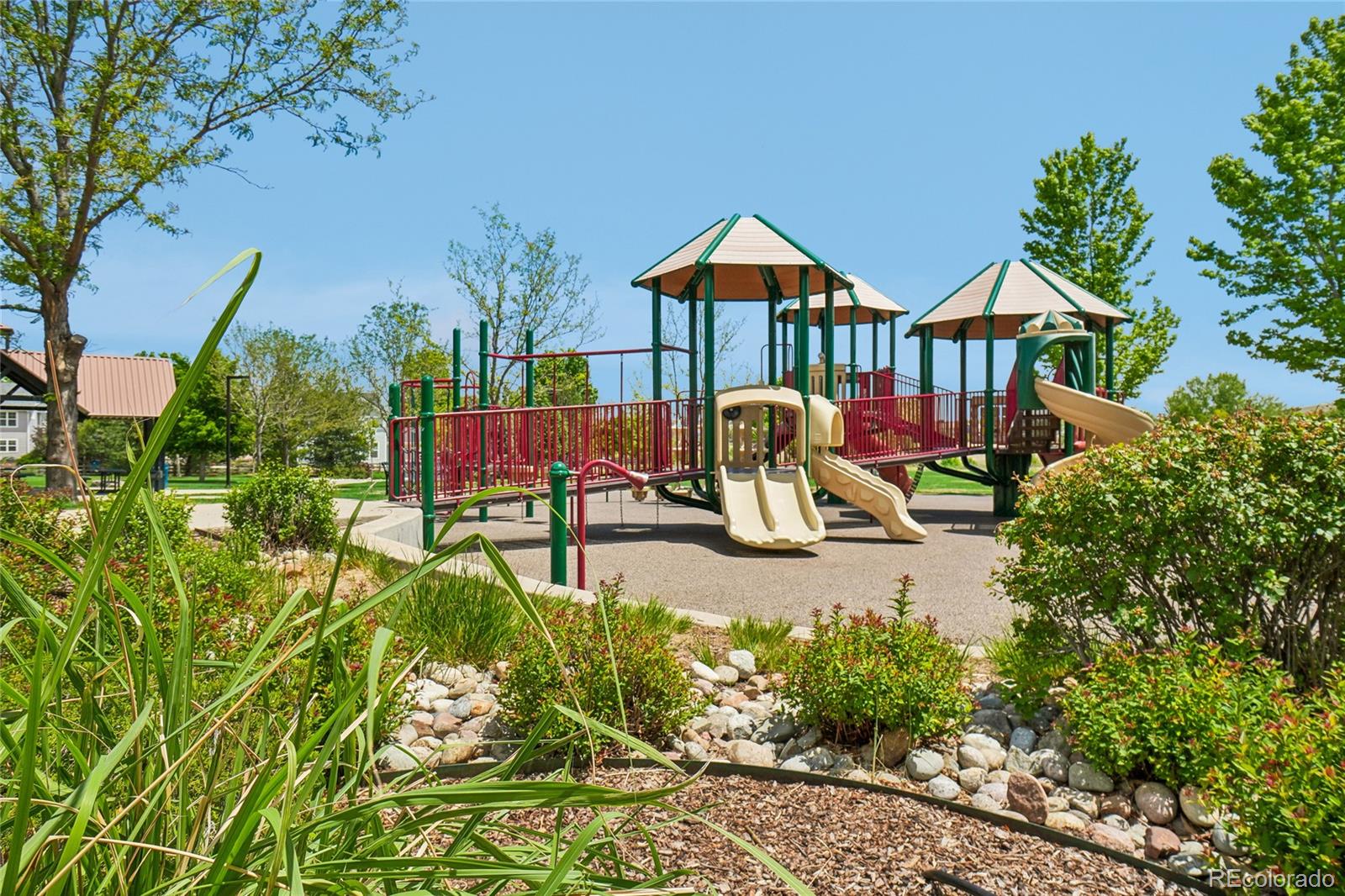 905 Lasnik Street Erie CO 80516