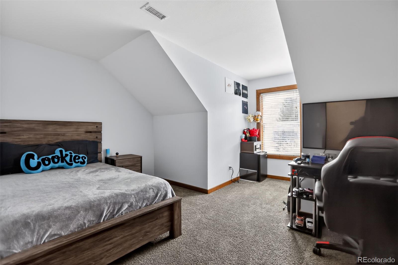 10 Salmon Loop Gypsum CO 81637