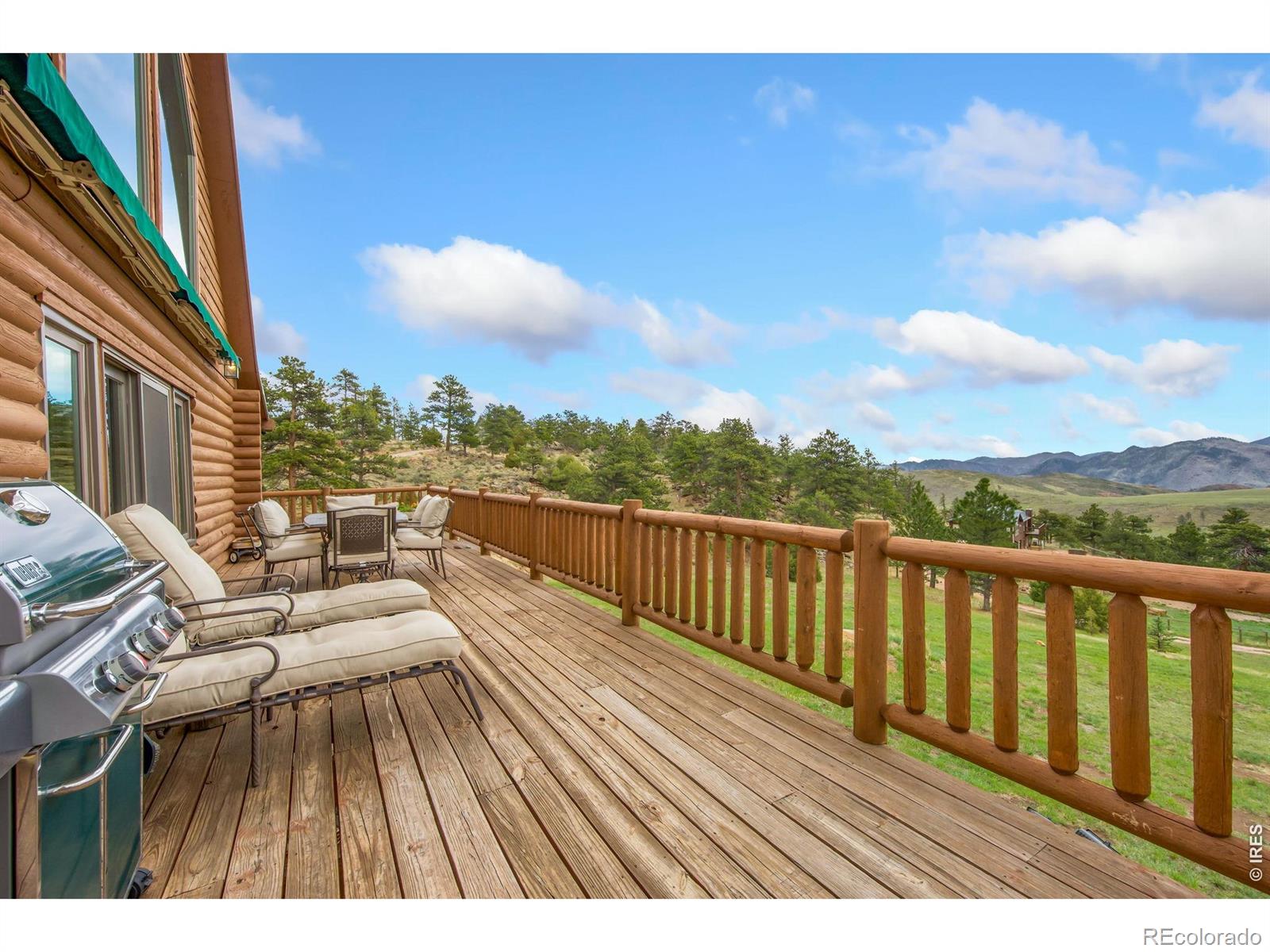 171 Critter Court Livermore CO 80536