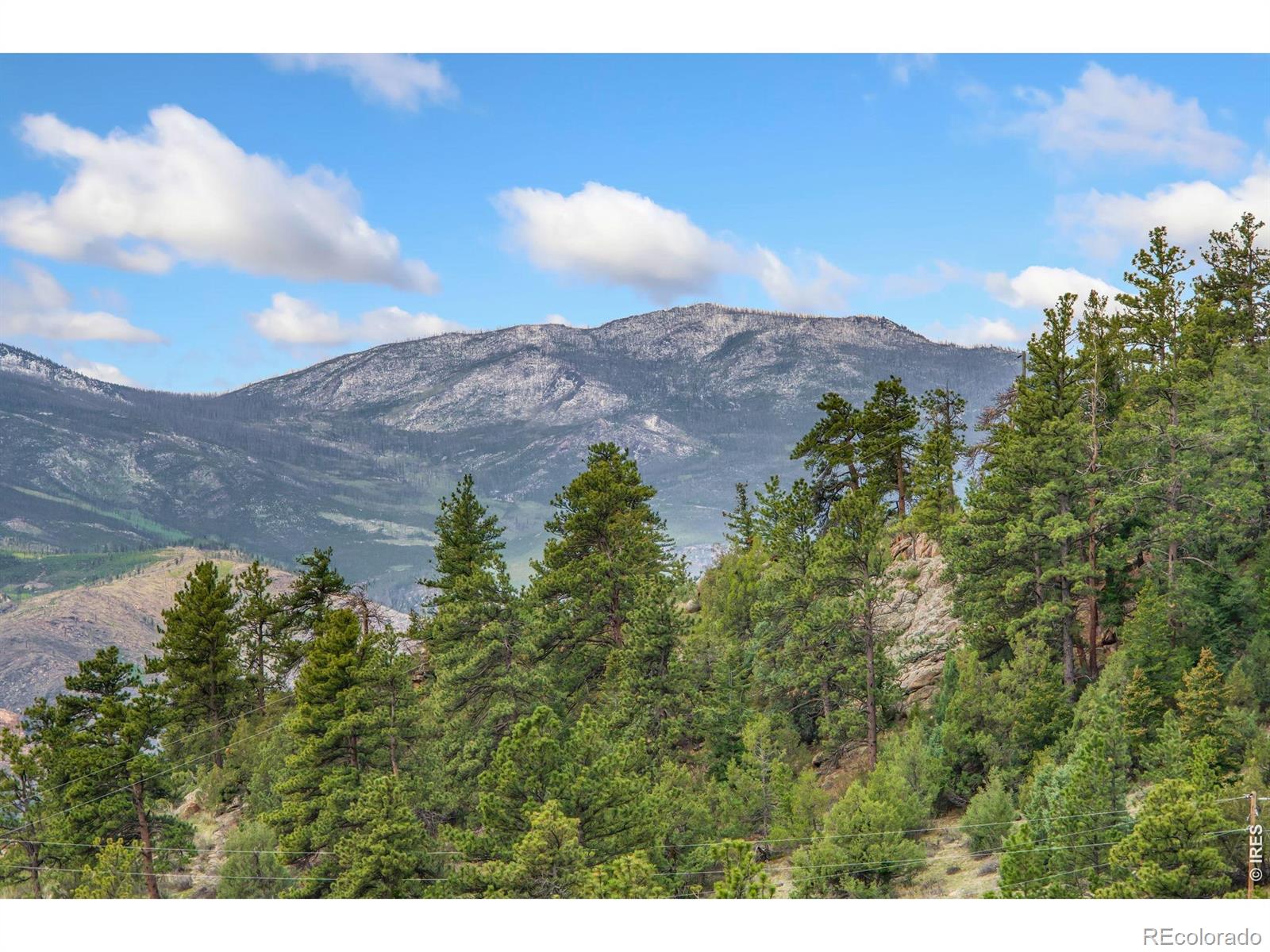 171 Critter Court Livermore CO 80536
