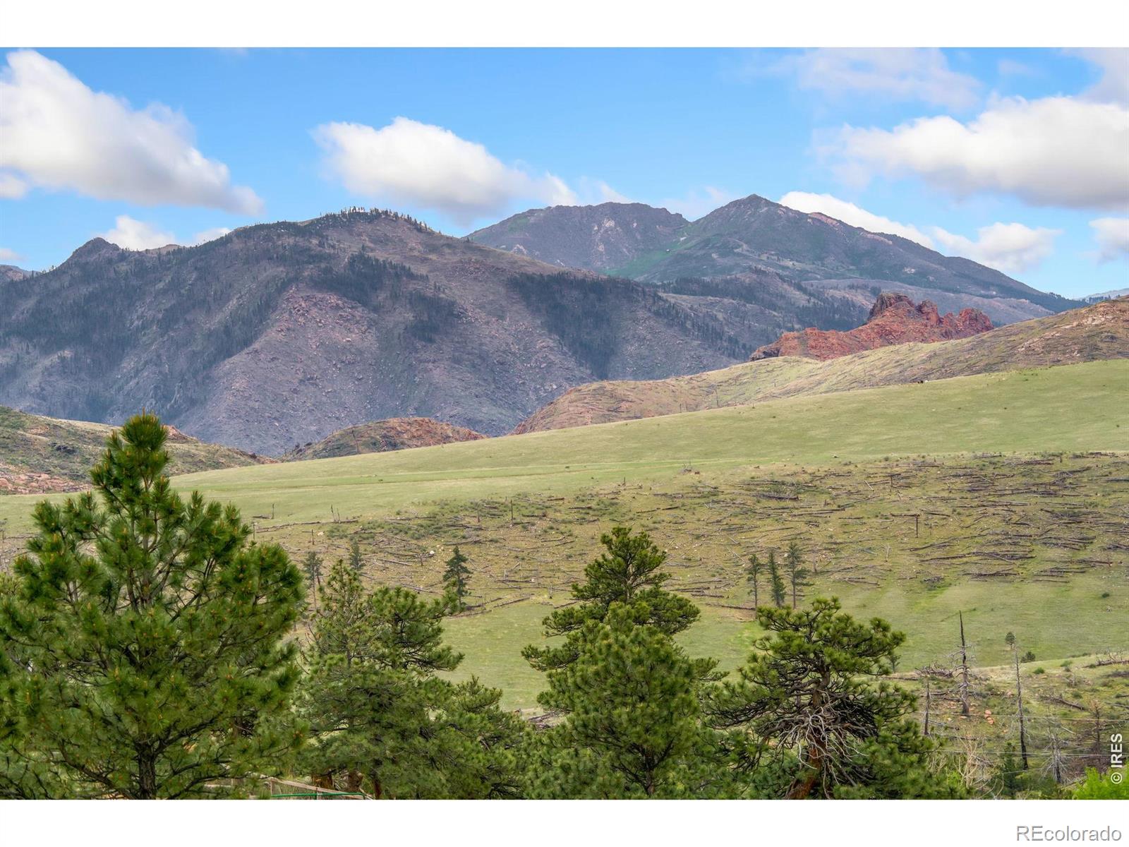 171 Critter Court Livermore CO 80536