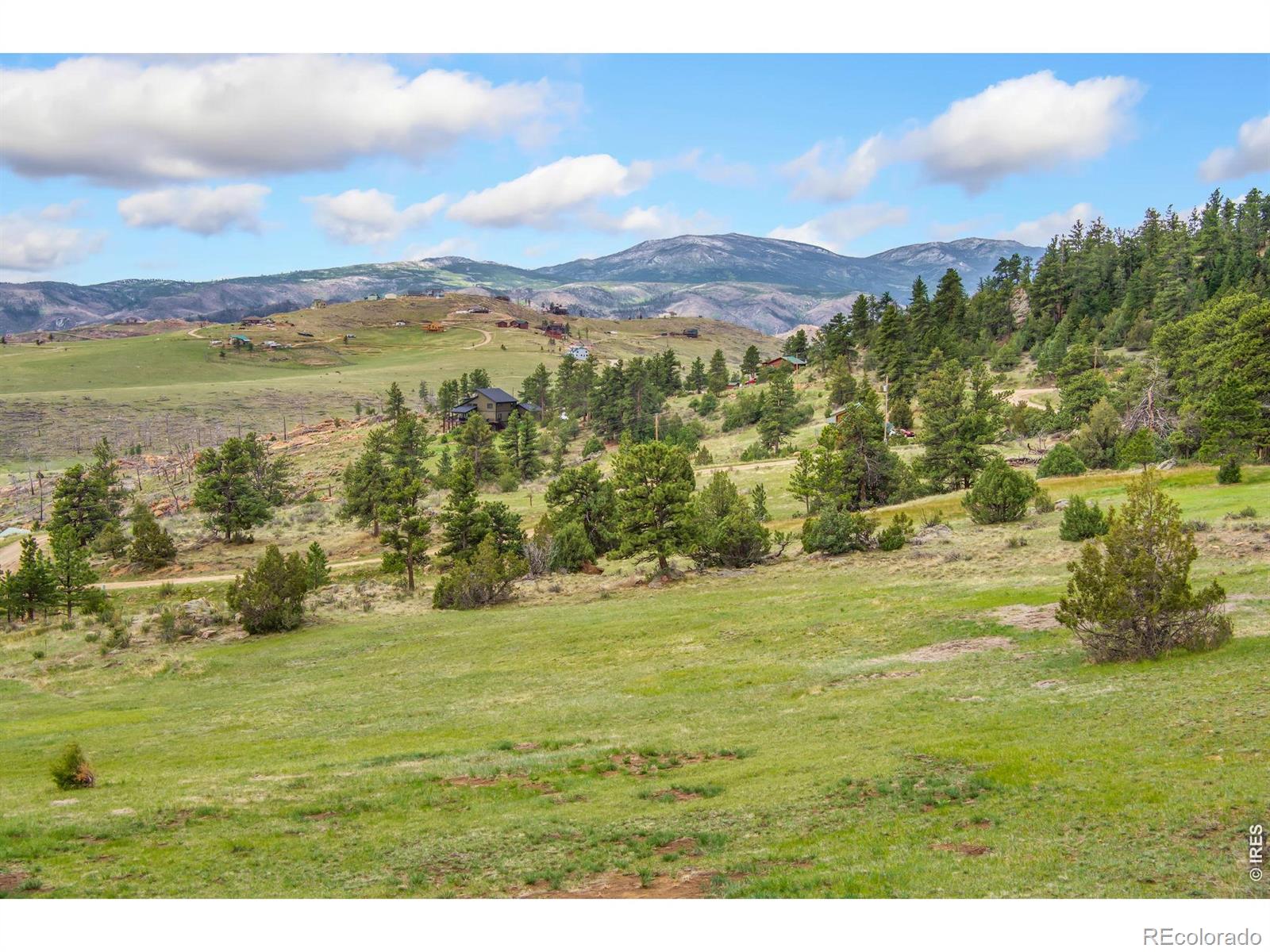 171 Critter Court Livermore CO 80536