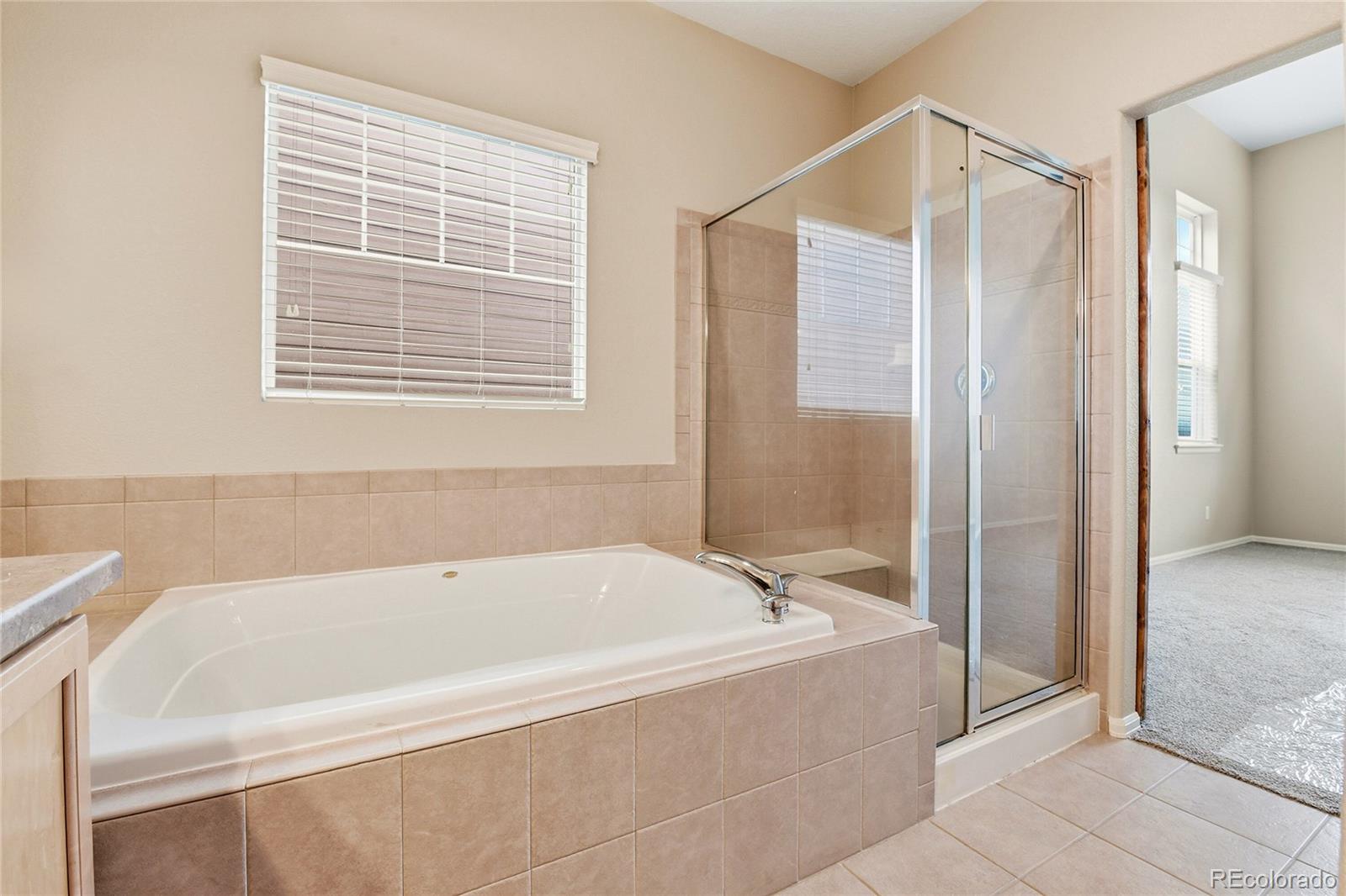 4031 S Odessa Street Aurora CO 80013