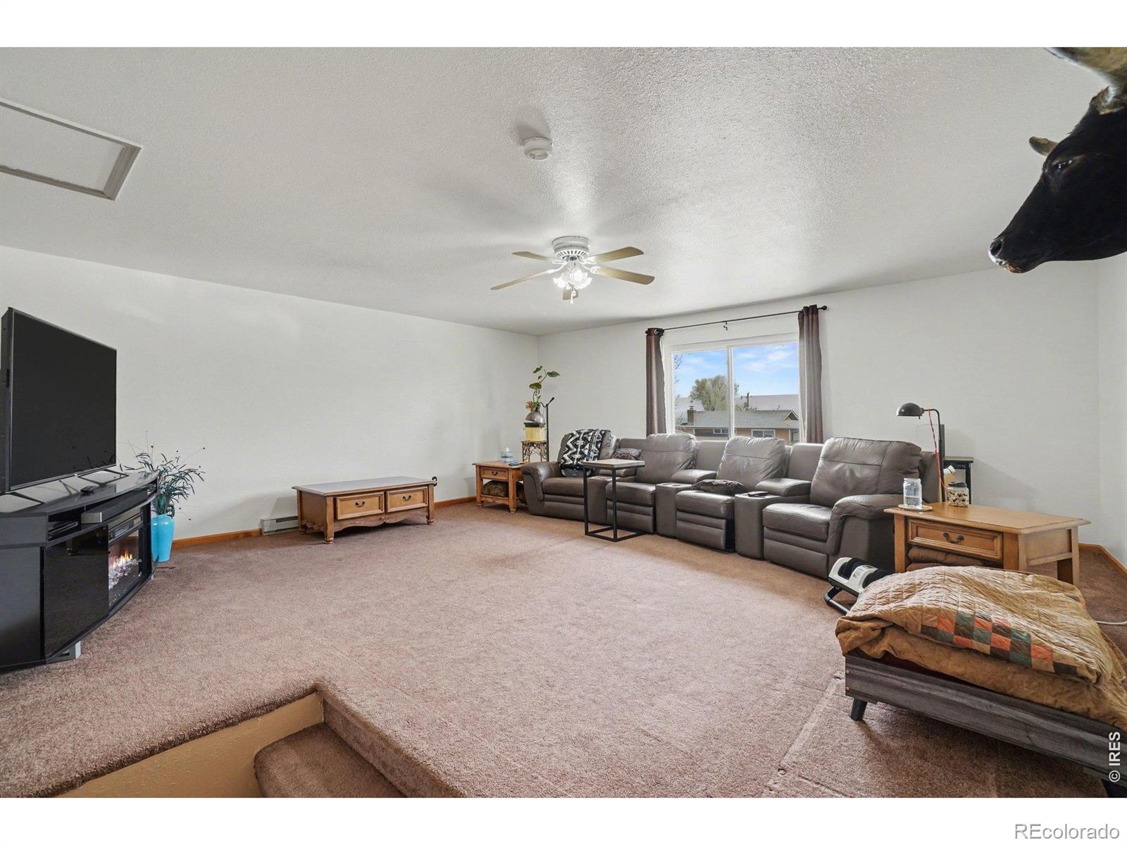 205 6th Street Mead CO 80542