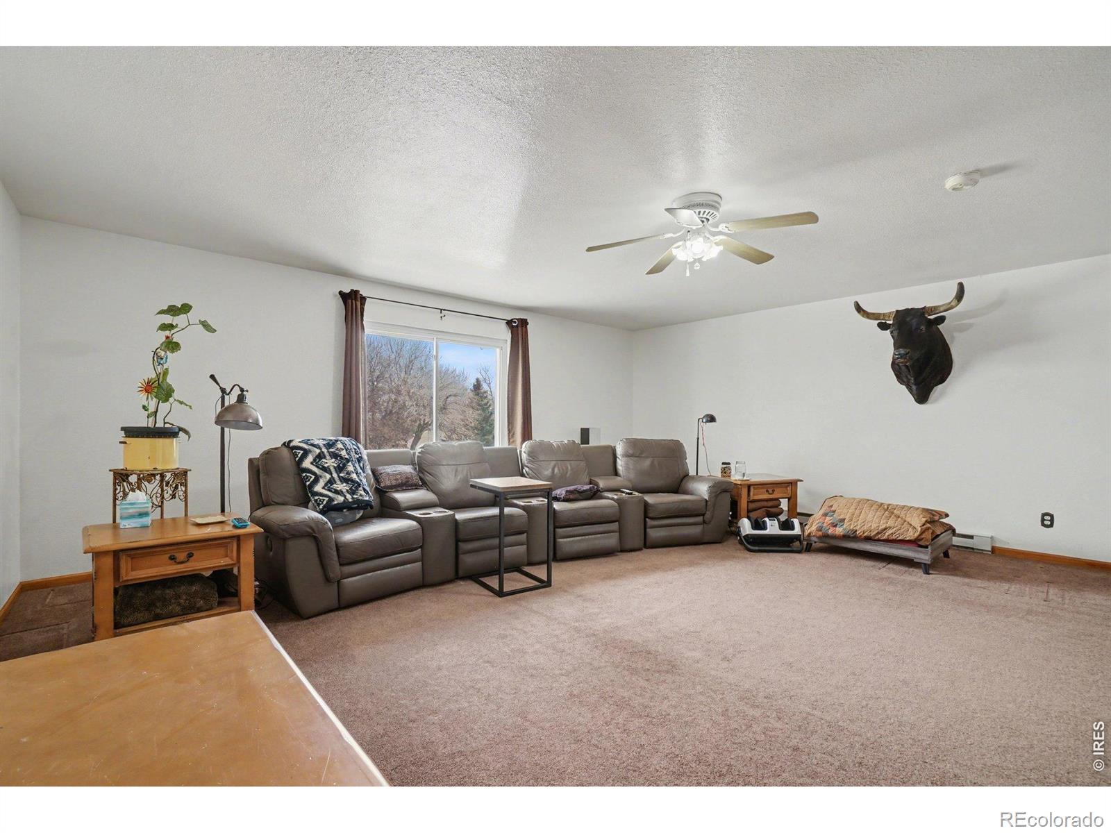 205 6th Street Mead CO 80542