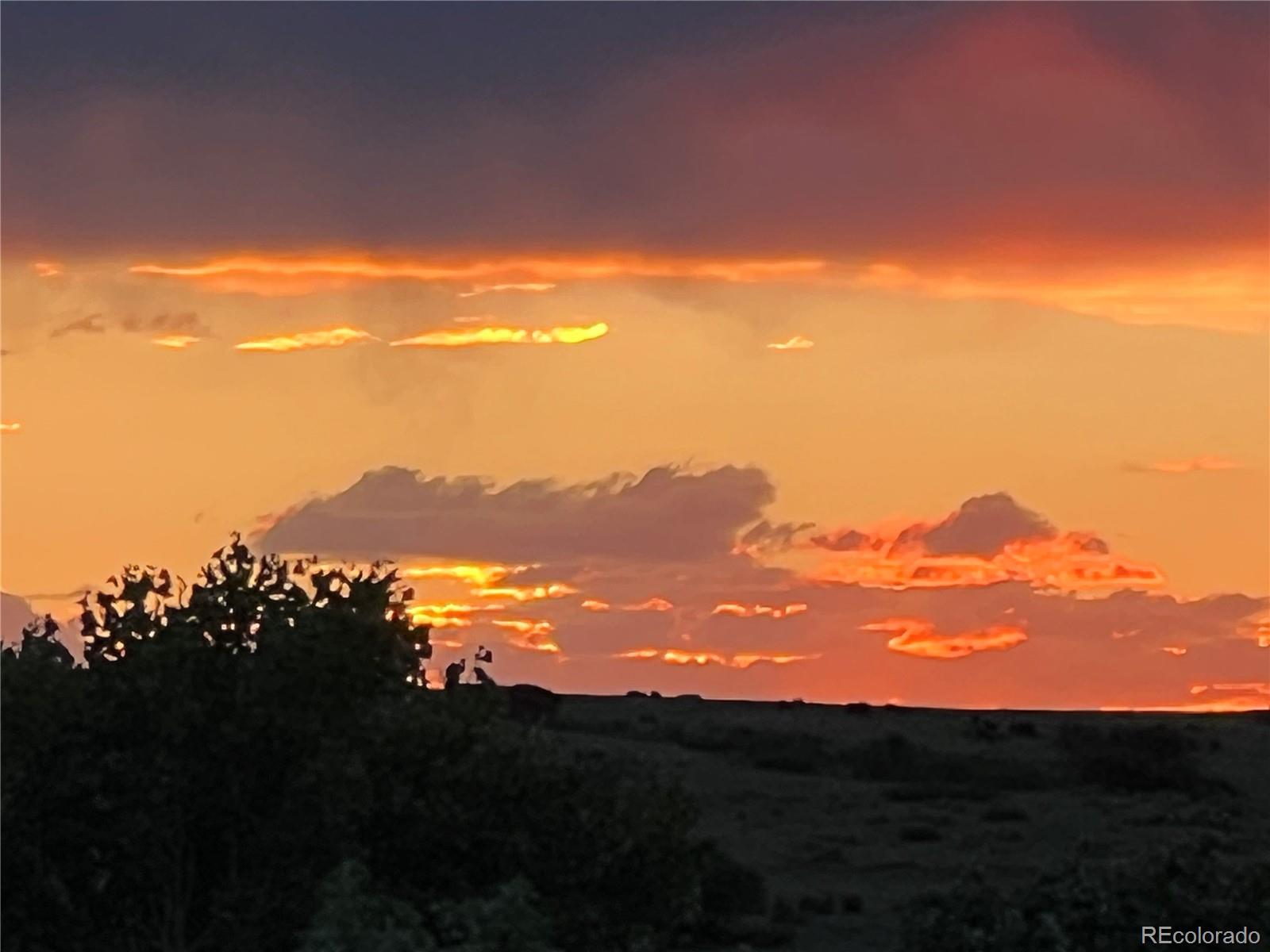 5692 Vistancia Drive Parker CO 80134
