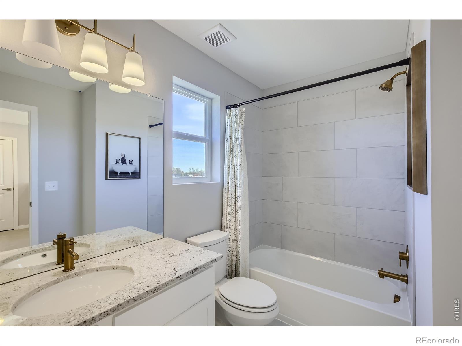 903 Nettle Lane Fort Collins CO 80524