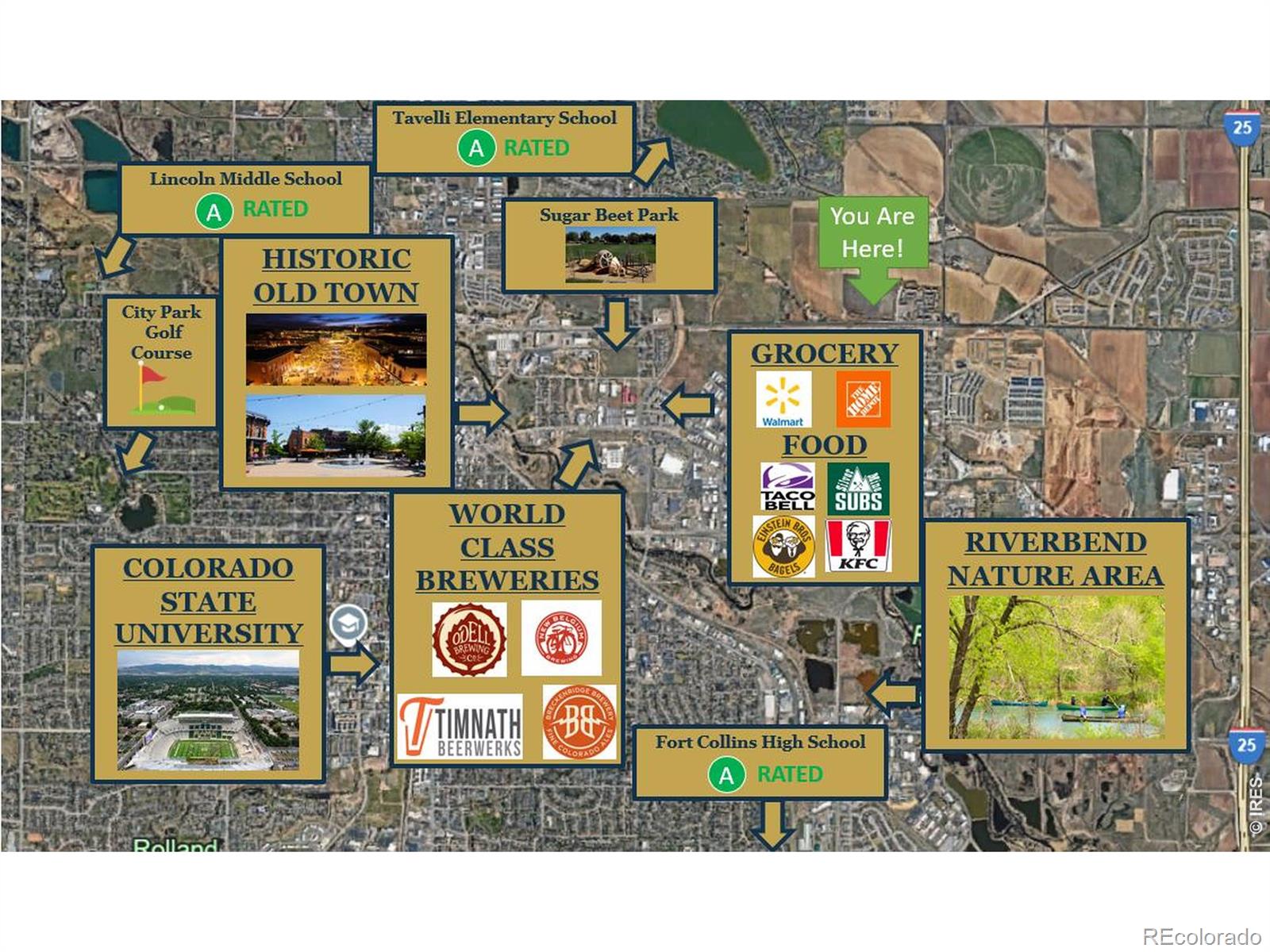 903 Nettle Lane Fort Collins CO 80524