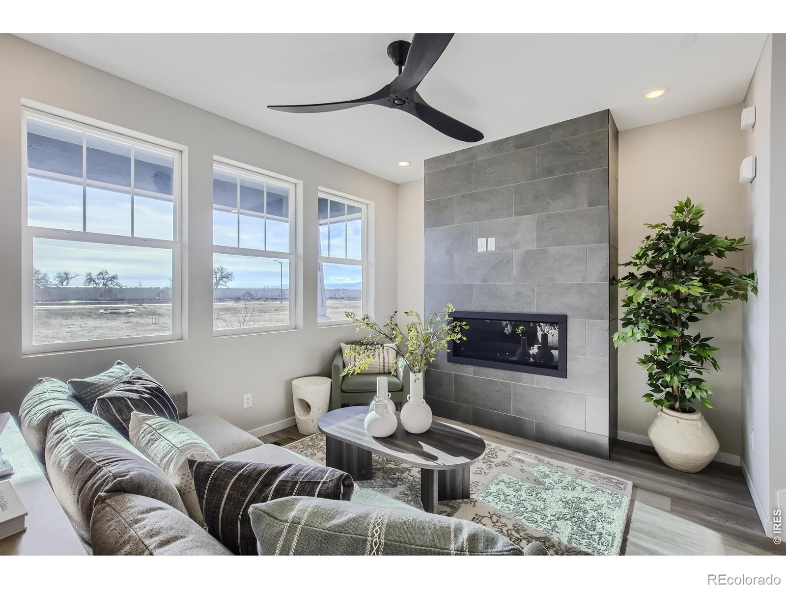 903 Nettle Lane Fort Collins CO 80524