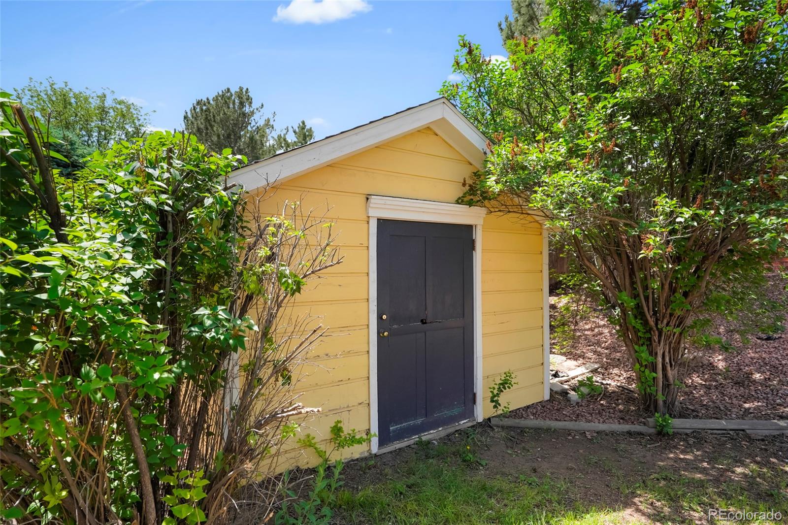 768 Barberry Circle Lafayette CO 80026