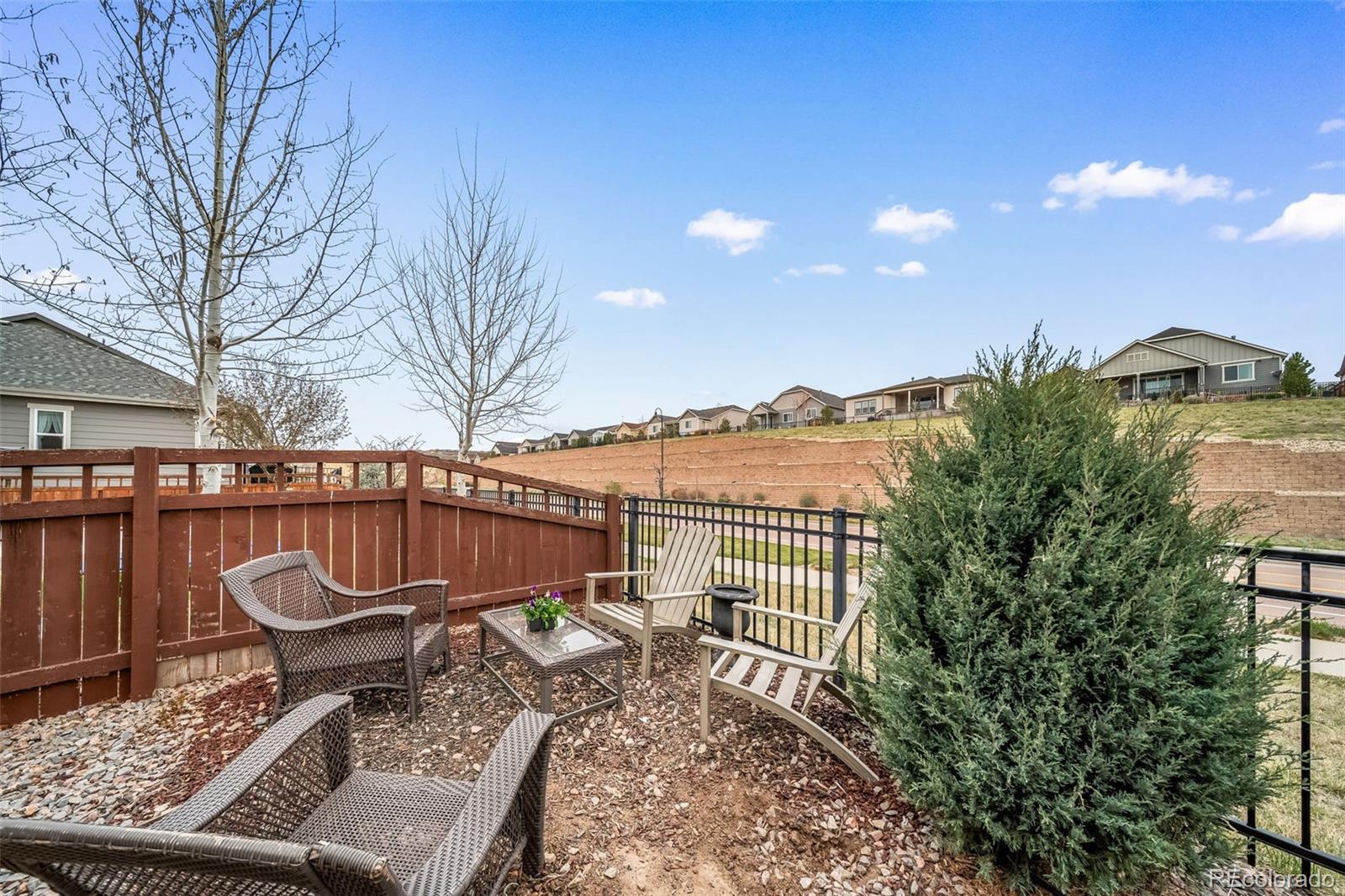 6393 Agave Avenue Castle Rock CO 80108