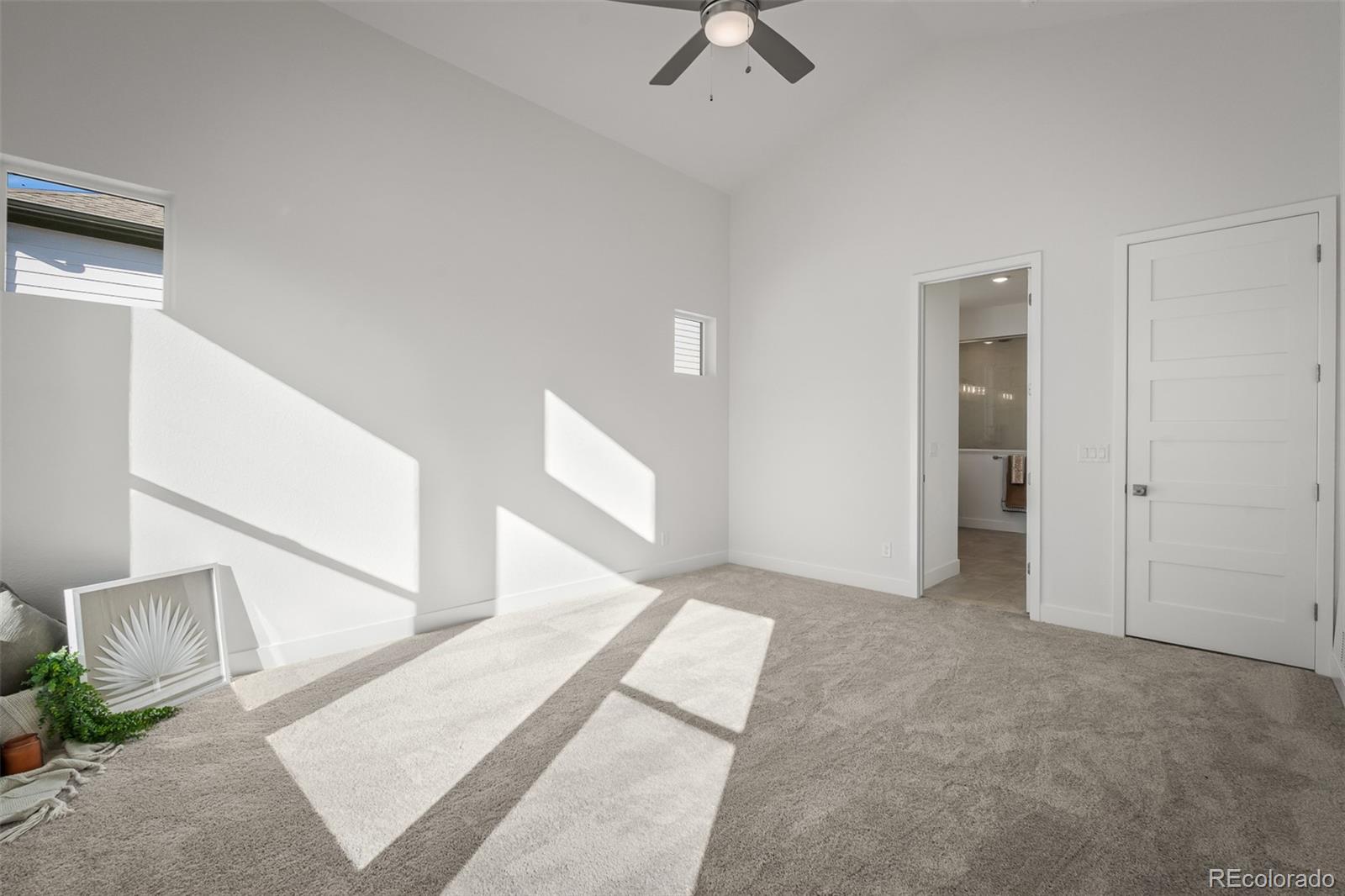 17234 Alsike Clover Court Monument CO 80132