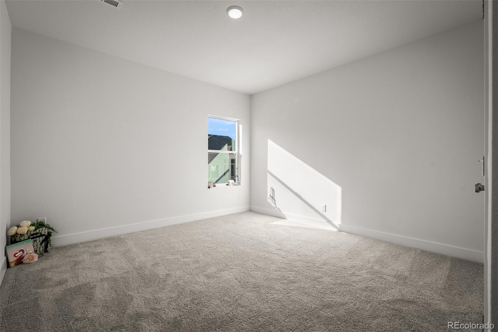 17234 Alsike Clover Court Monument CO 80132