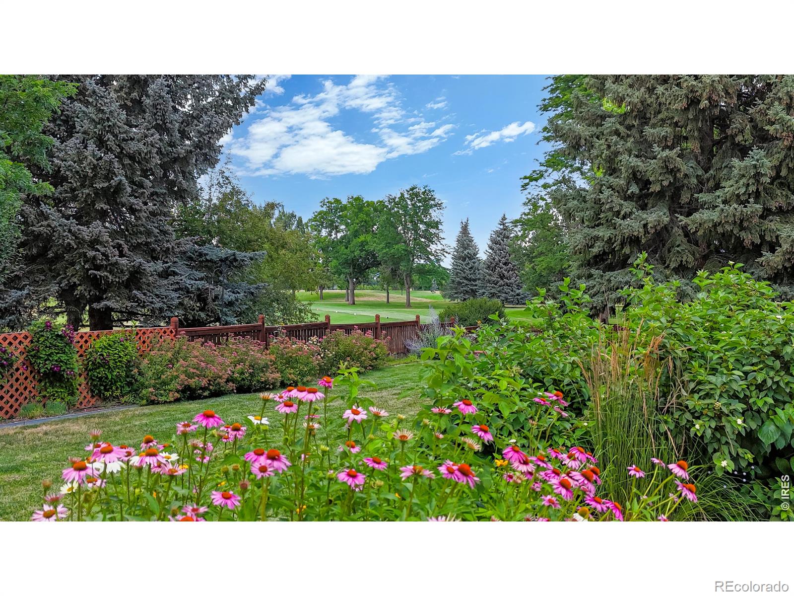 1412 Ticonderoga Drive Fort Collins CO 80525