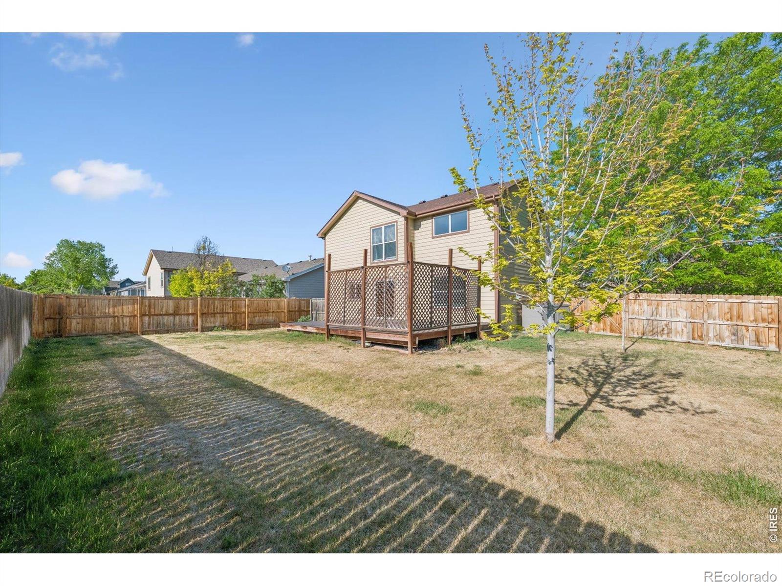 348 Buckeye Avenue Johnstown CO 80534
