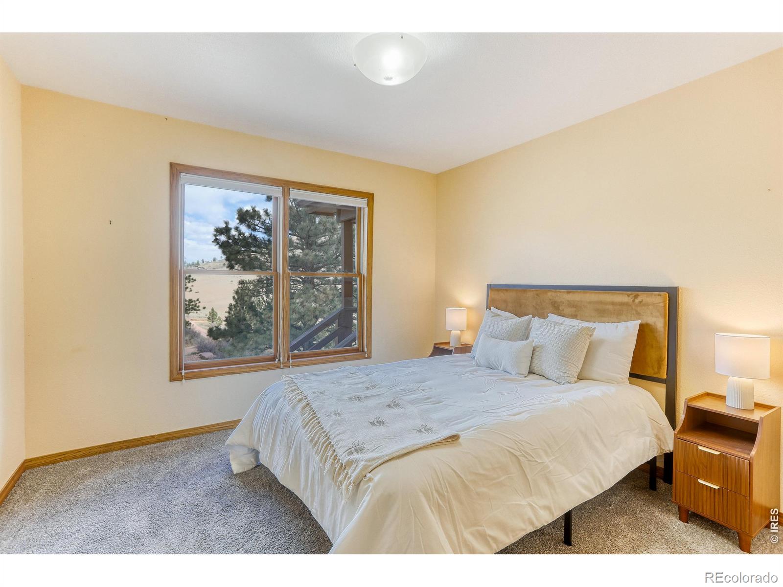 2901 Stone Canyon Road Lyons CO 80540