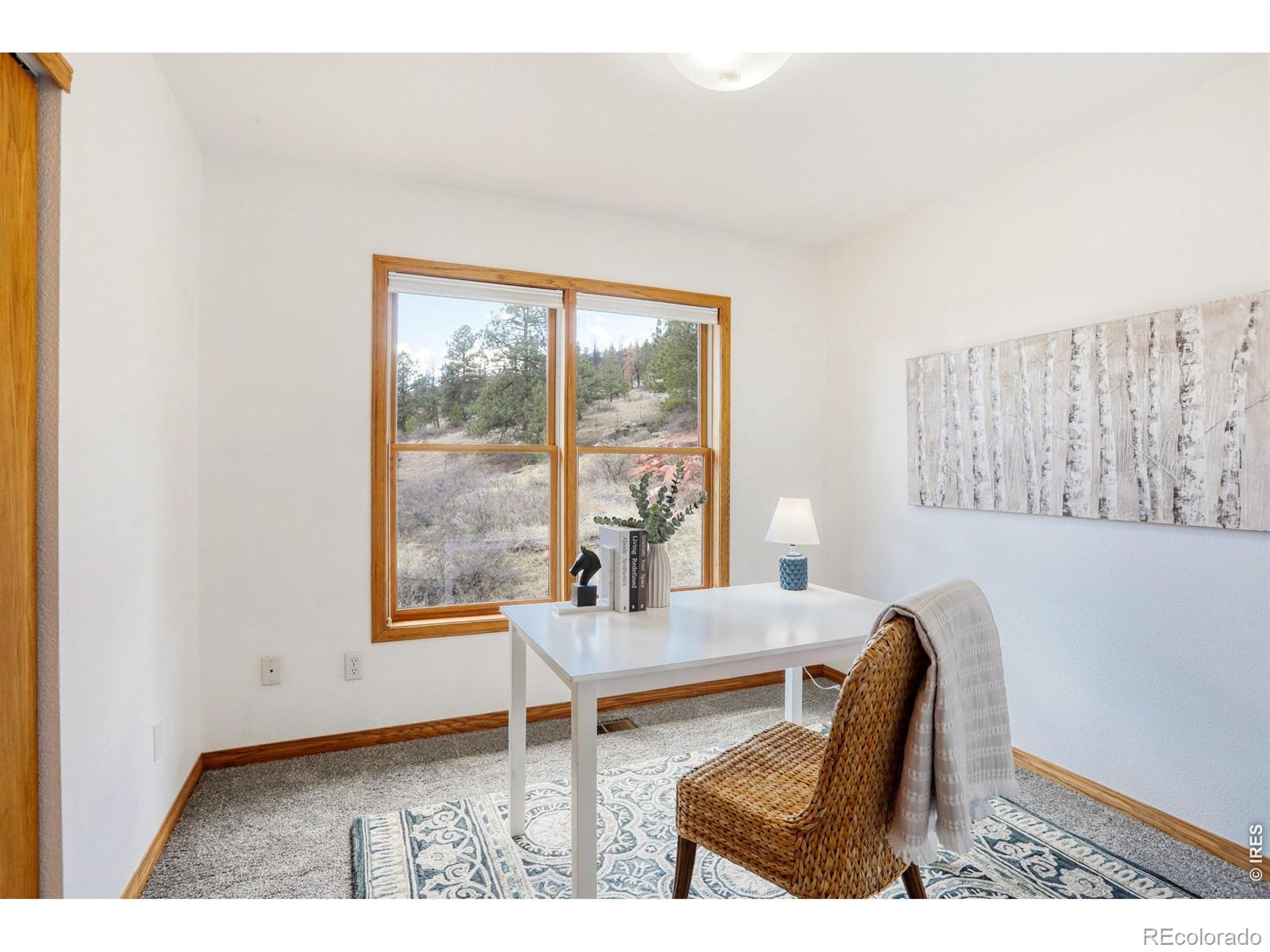 2901 Stone Canyon Road Lyons CO 80540