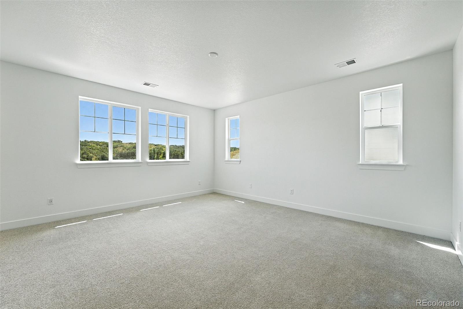 3418 Backdrop Court Castle Rock CO 80108