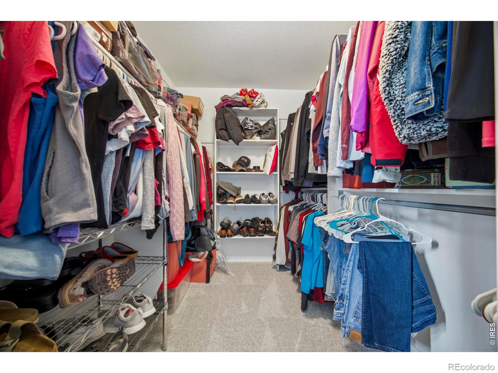 108 Whitney Bay Windsor CO 80550