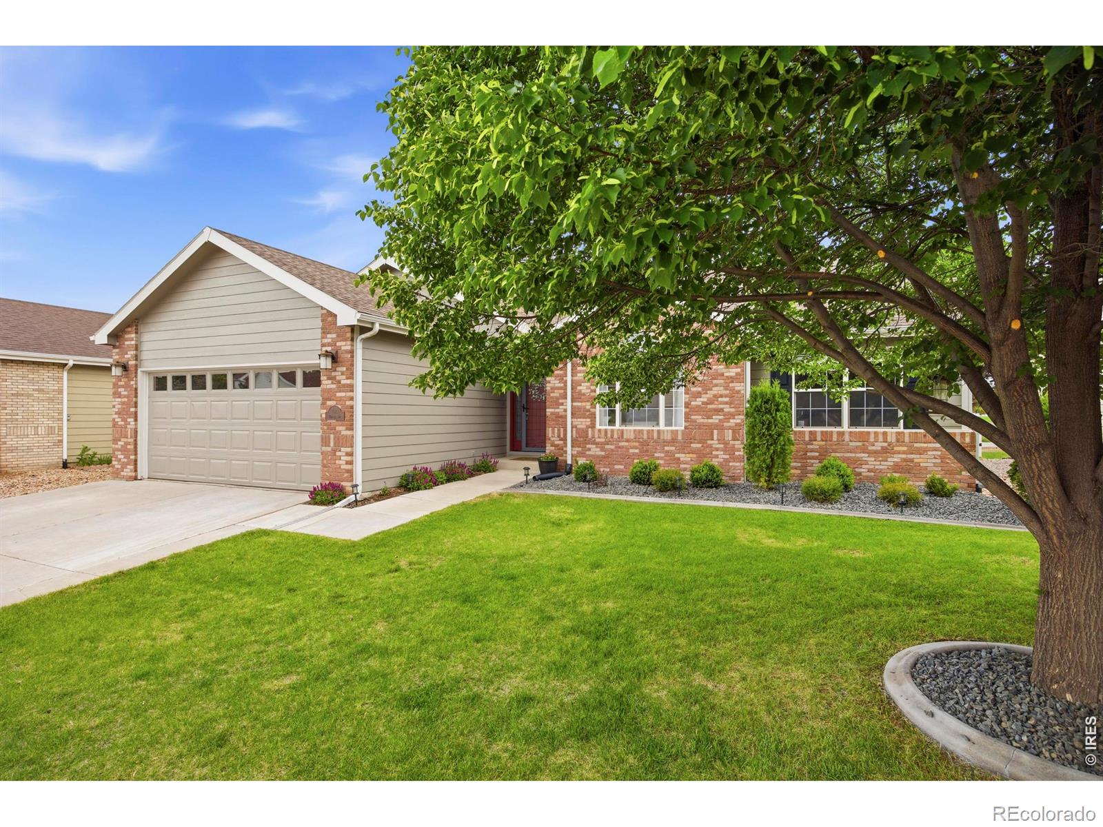 108 Whitney Bay Windsor CO 80550