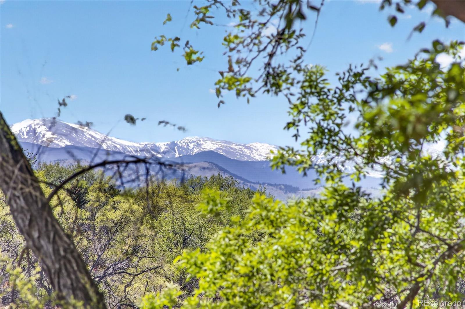 8625 Garland Court Arvada CO 80005